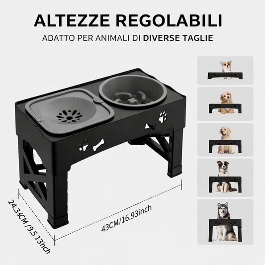 Ciotola rialzata per cibo e acqua