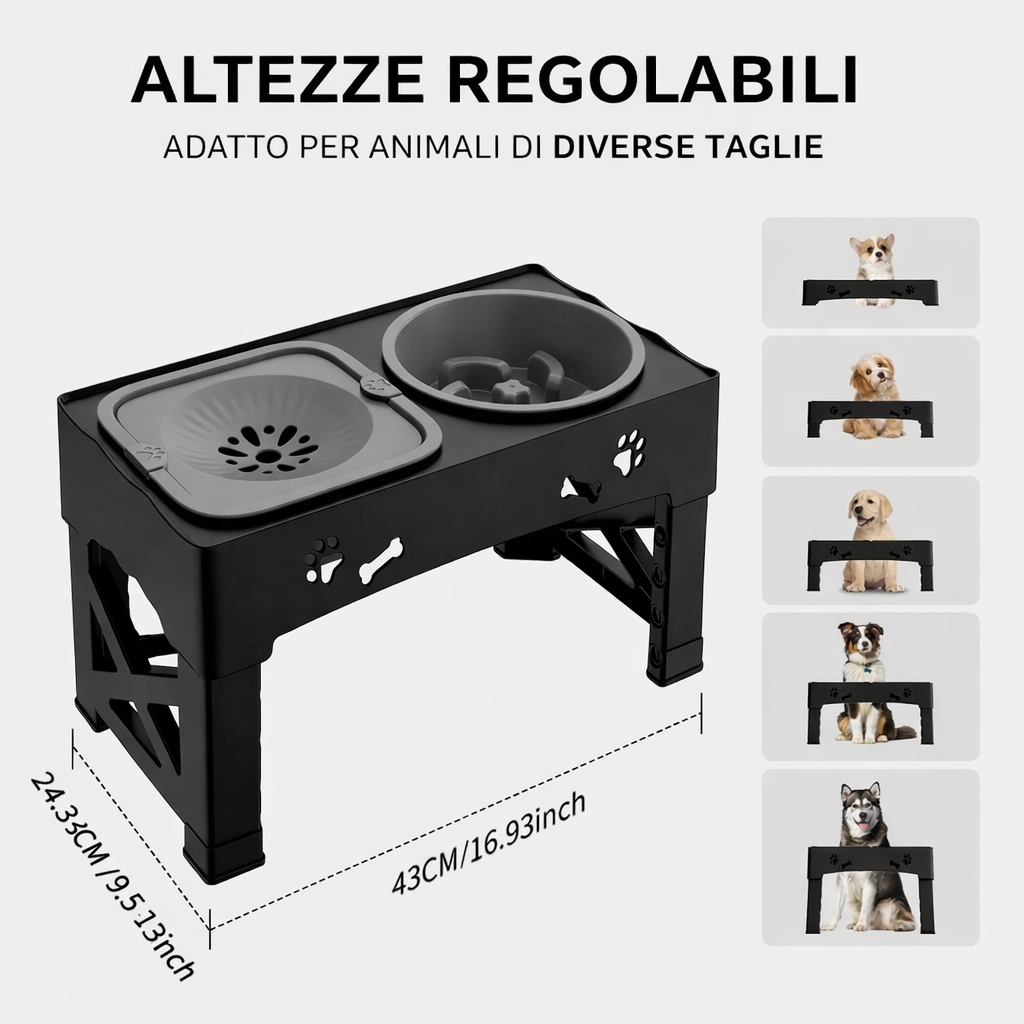 Ciotola rialzata per cibo e acqua