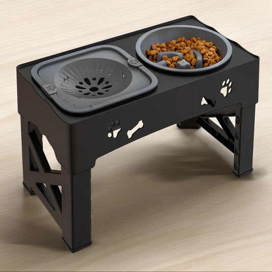 Ciotola rialzata per cibo e acqua